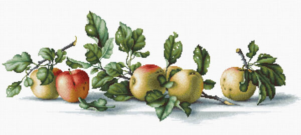 Apples SB2265