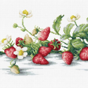 Etude with Strawberries SB2266