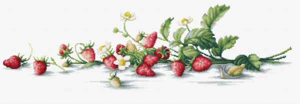 Etude with Strawberries SB2266