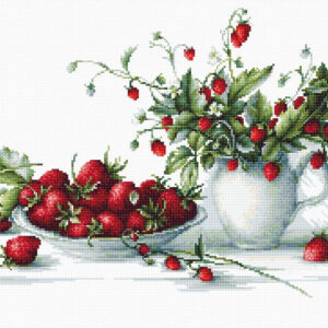 Strawberries SB2277