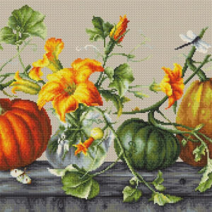 Pumpkin SB2303