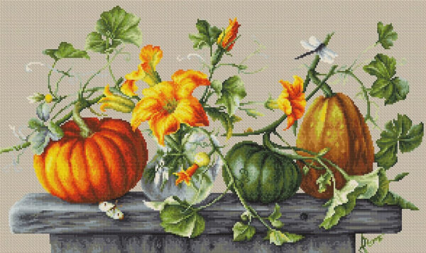 Pumpkin SB2303