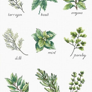 Spices and Herbs SB2345