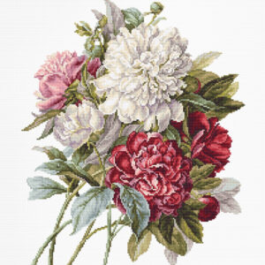 The Peonies SB2355