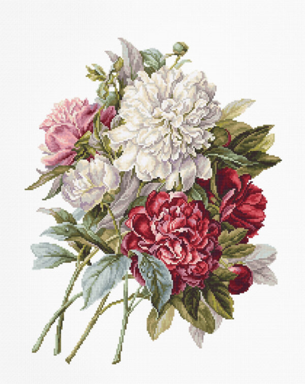 The Peonies SB2355