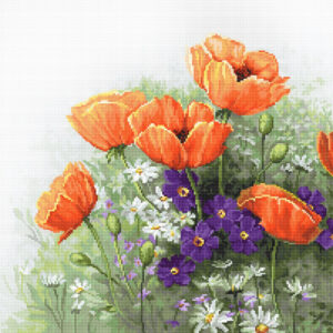 Poppies SB2368
