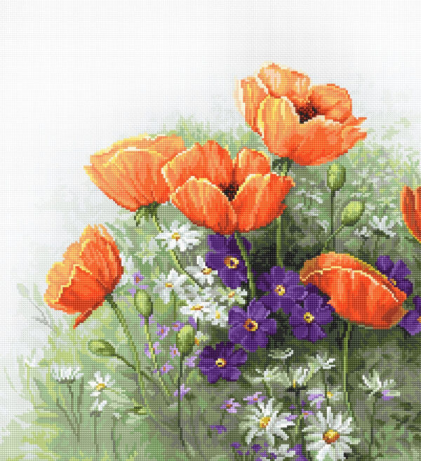 Poppies SB2368