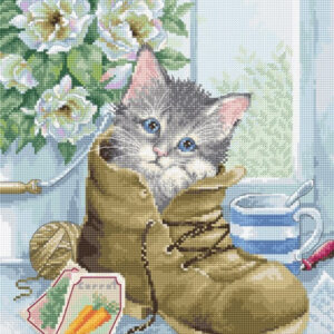Cute kitten SB2391