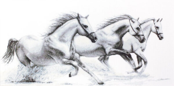 White horses SB495