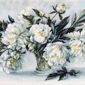 Peonies SB517