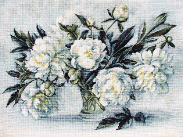 Peonies SB517