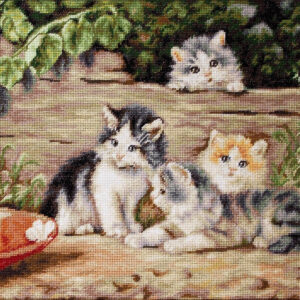 The Cats SB556