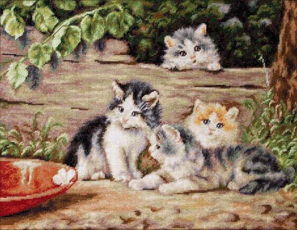 The Cats SB556