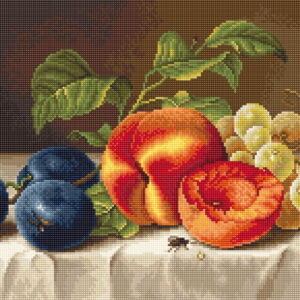 Still Life SB592