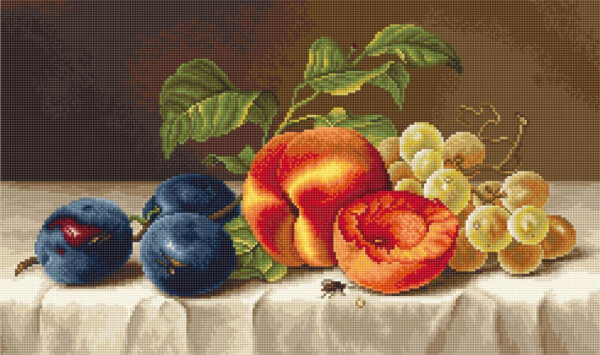 Still Life SB592