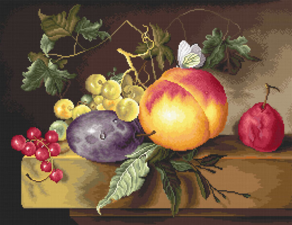Still Life SB593