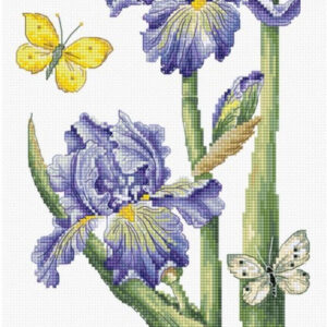 May Iris SB7001