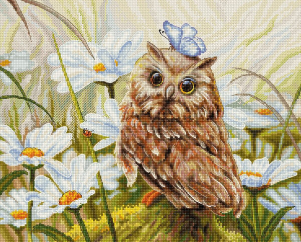 Lucky Owl SB7011