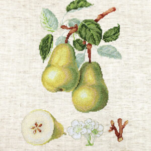 The Dauch Pear SBA22420