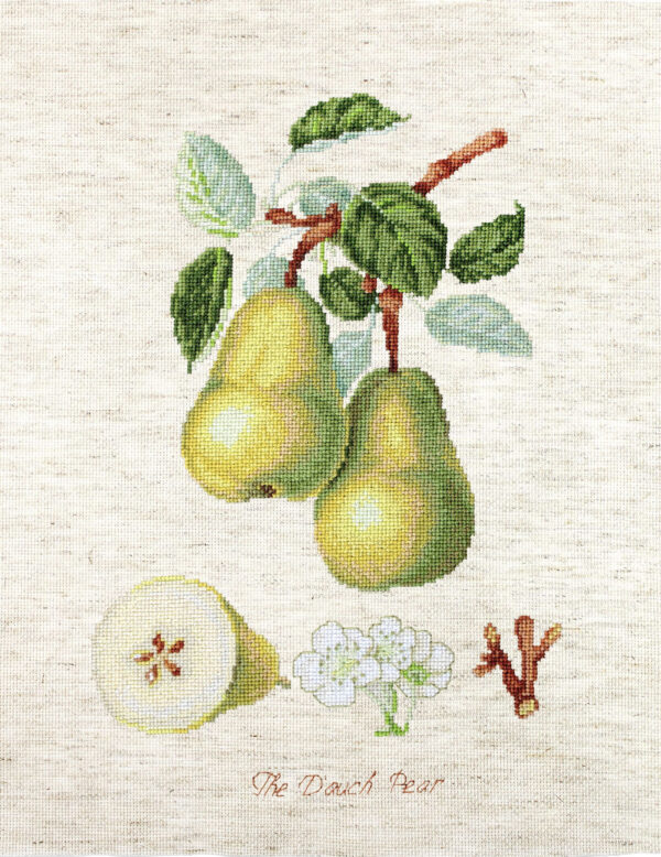 The Dauch Pear SBA22420
