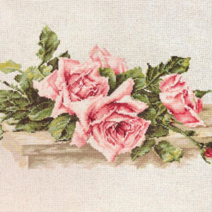 Pink Roses SBL22400