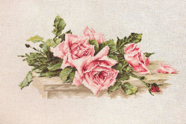 Pink Roses SBL22400