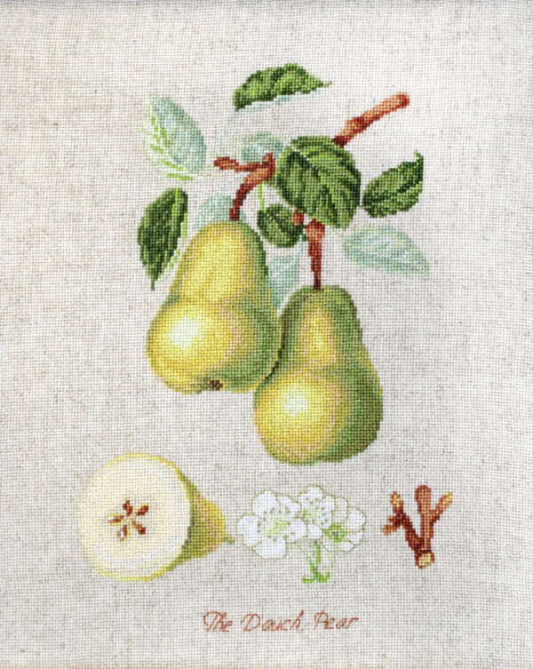 The Dauch Pear SBL22420