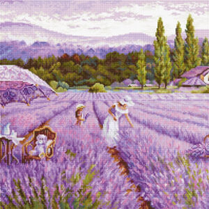 Lavender field SBU5008