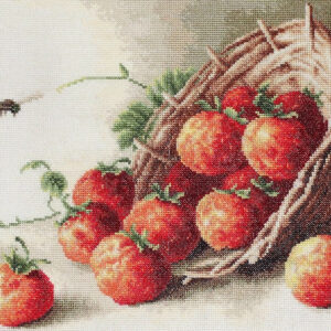 Basket of strawberries SG497