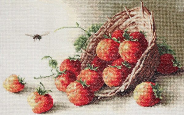 Basket of strawberries SG497