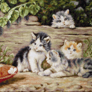 The Cats SG556