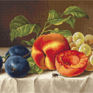 Still Life SG592