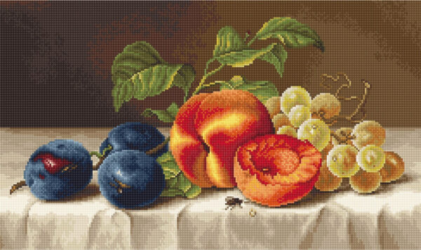 Still Life SG592