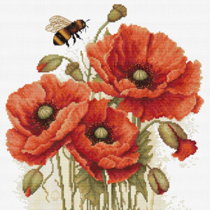 The Splendor of Summer Poppies 24,5x27cm SB7042