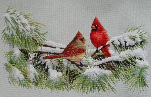 Winter Cardinals D35178
