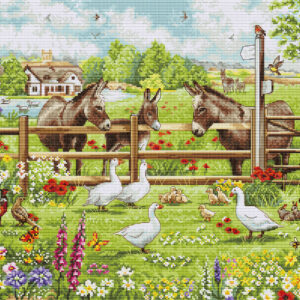 Donkeys' Yard 39x32cm SBU5087