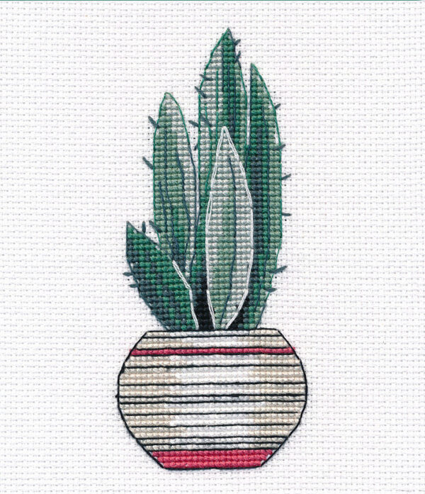 Agave S1490