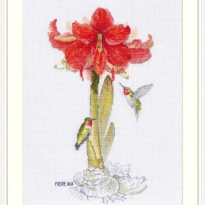 Amaryllis SK202