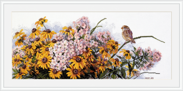 Black Eyed Susans and Phlox SK208