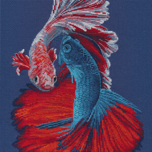 Betta fish S1607