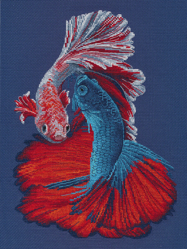 Betta fish S1607