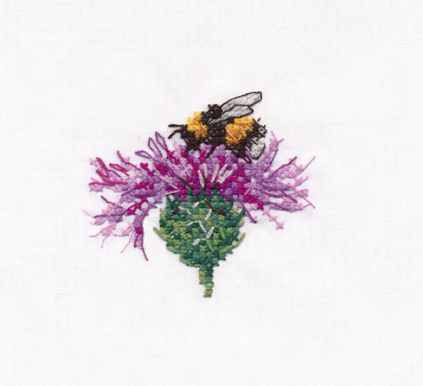 Bumblebee on a flower S1608