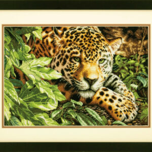 Leopard in Repose D70-35300