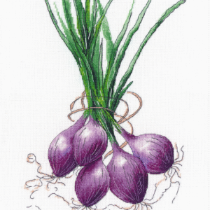 Onion S1476