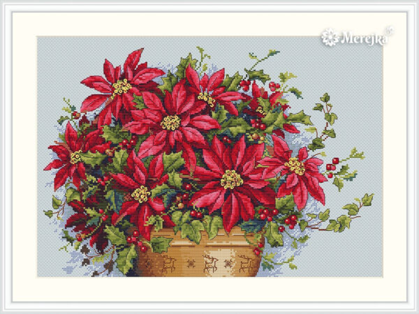 Poinsettia SK132