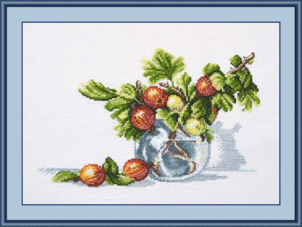 Gooseberries S754 (D)