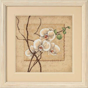 Orchid D35176