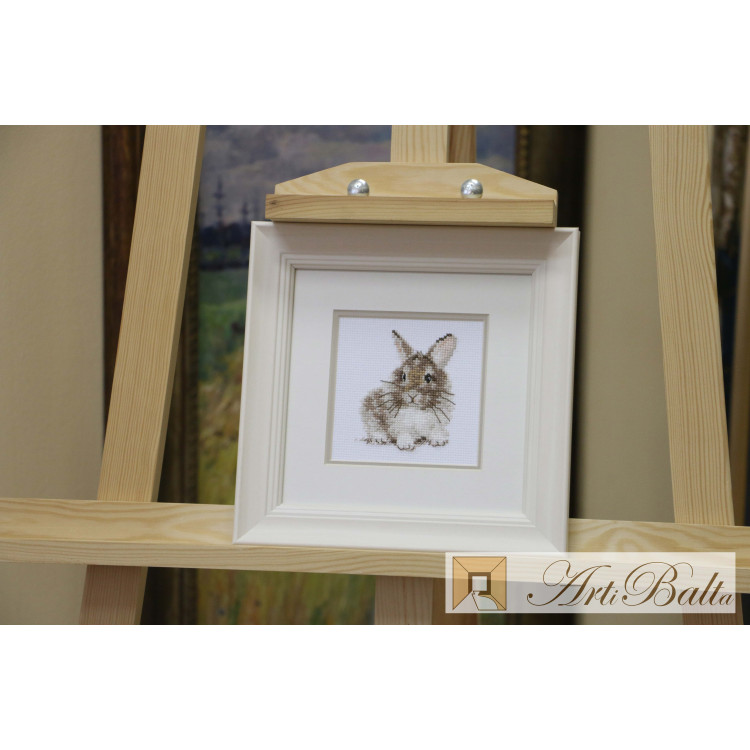 Rabbit S0-170 - Image 2