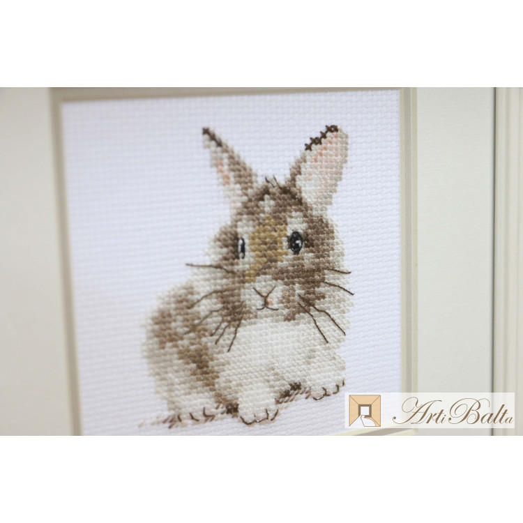 Rabbit S0-170 - Image 3