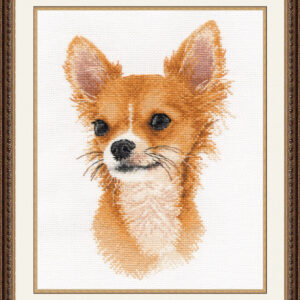 Little Friend. Chihuahua S1001
